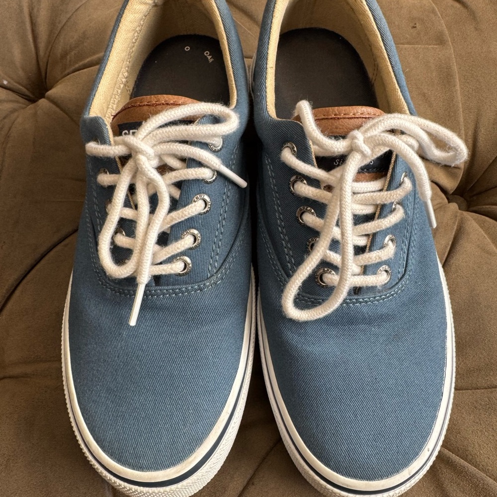 Sperry Blue Canvas Sneakers